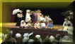 CLICK TO SEE US SINGING