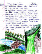 BY LOTTIE