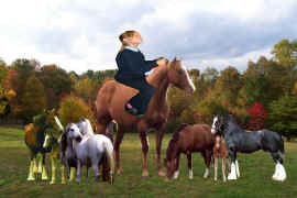 Horses by Lottie.